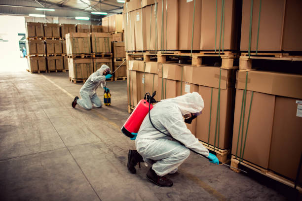 Best Best Pest Control Companies  in Sardis, MS