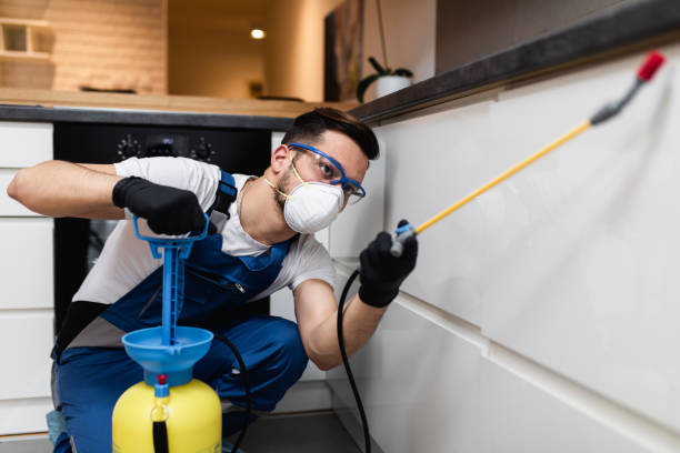Best Flea Control Services  in Sardis, MS