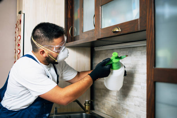 Best Bed Bug Extermination  in Sardis, MS