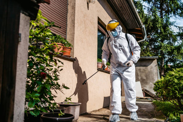 Insect Control in Sardis, MS