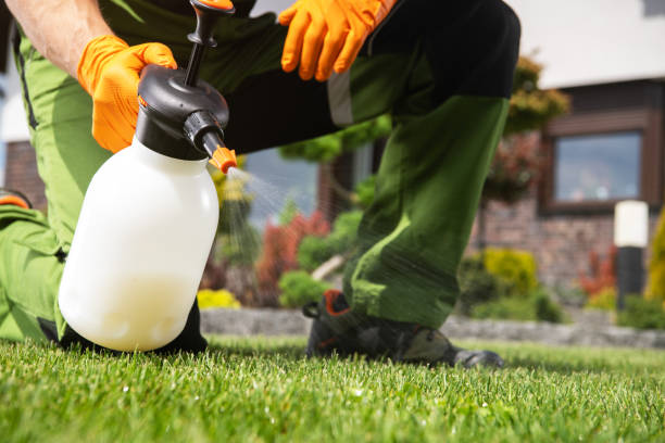 Best Bed Bug Extermination  in Sardis, MS