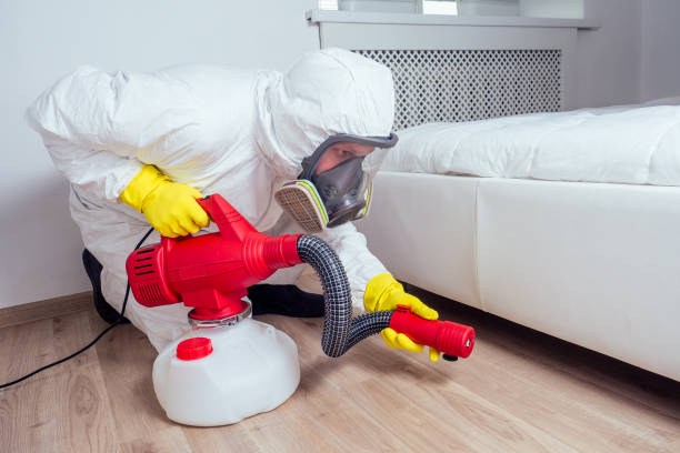 Professional Pest Control in Sardis, MS