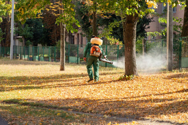 Best Cockroach Control Services  in Sardis, MS
