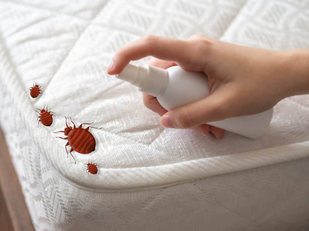 Best Exterminator Services  in Sardis, MS